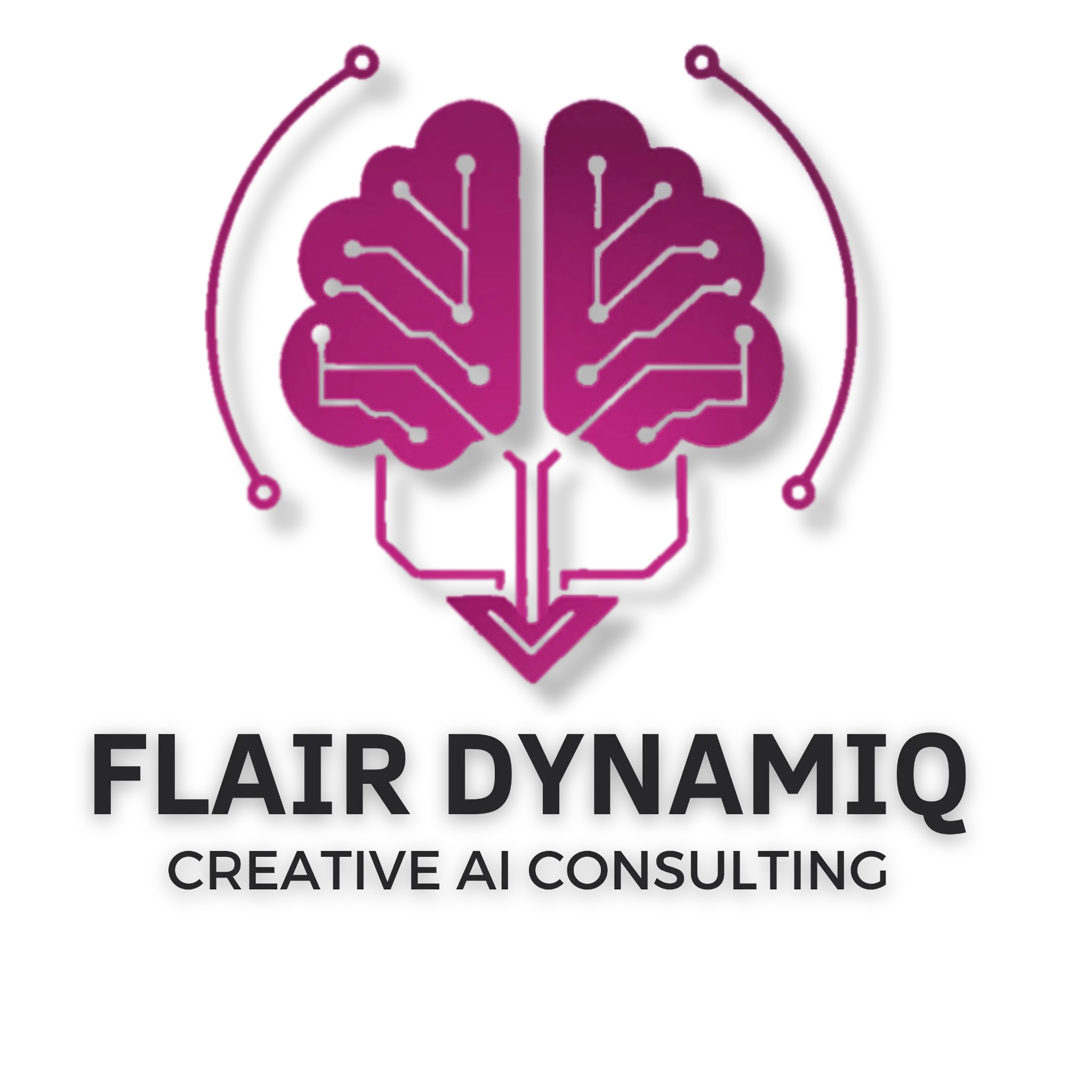 Flair Dynamiq Logo